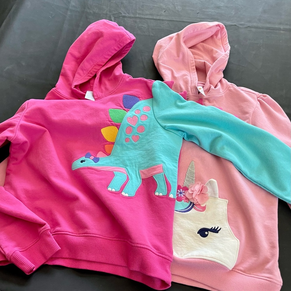 Gymboree Pink and Teal Dinosaur and Unicorn Kids Hoodie Set